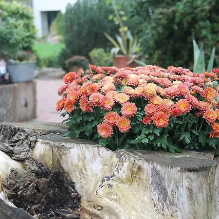Gutspark Meerblick C Casa vacanze Kägsdorf